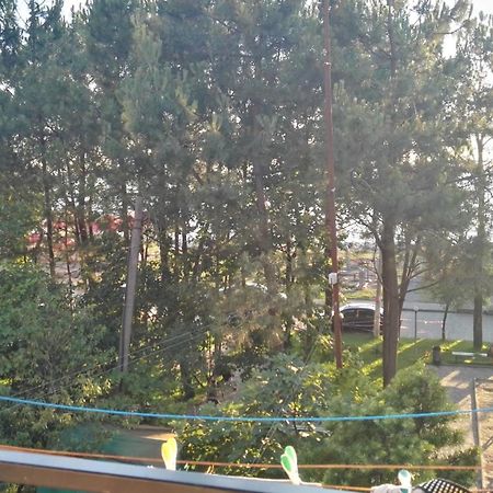 Apartment Agmashenebeli 99 코불레티 외부 사진